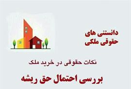 بررسی احتمال حق ریشه